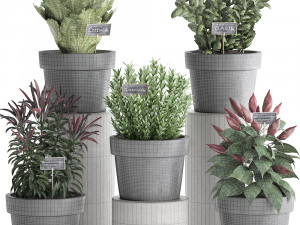 decorative plants for the kitchen 391 3D Model