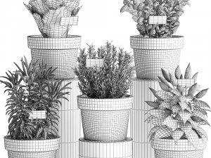 decorative plants for the kitchen 391 3D Model