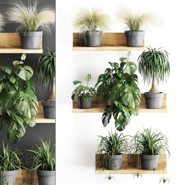 plant set wall decor vertical garden 48 Modelo 3D .c4d .max .obj .3ds .fbx .stl .blend 