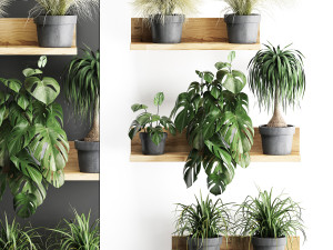 plant set wall decor vertical garden 48 Model 3D