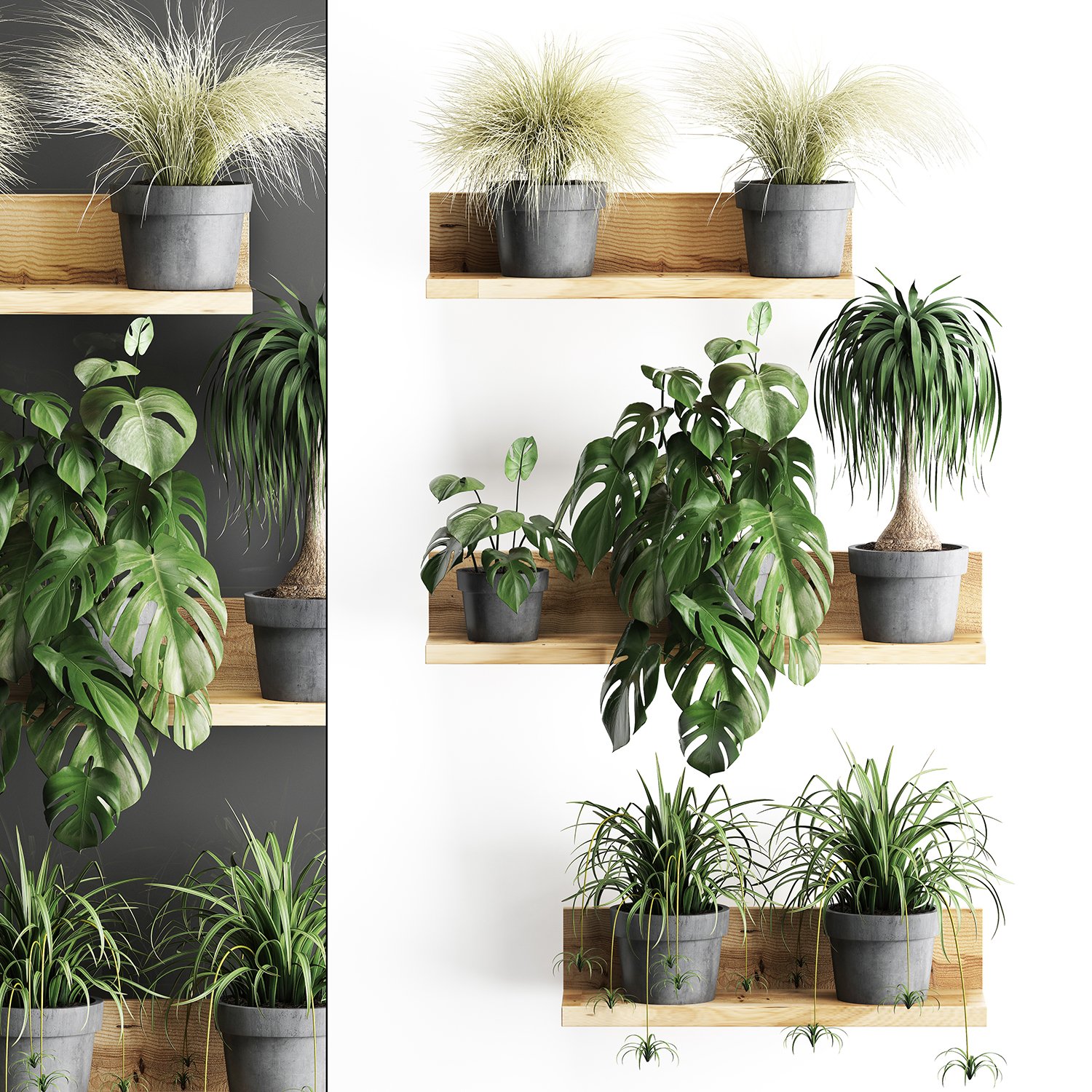 Plant Set Wall Decor Vertical Garden 48 3d Model In Small Plants