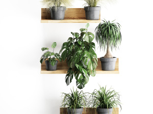 plant set wall decor vertical garden 48 Modelo 3D