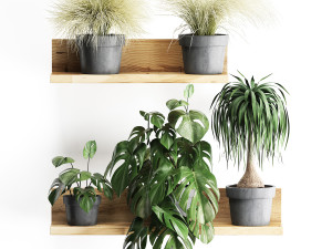 plant set wall decor vertical garden 48 Modelo 3D
