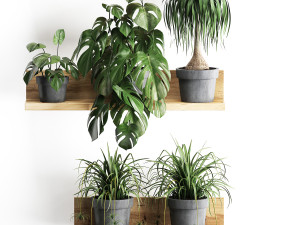 plant set wall decor vertical garden 48 Modelo 3D