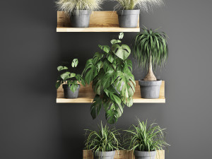 plant set wall decor vertical garden 48 Modelo 3D