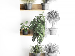 plant set wall decor vertical garden 48 Modelo 3D