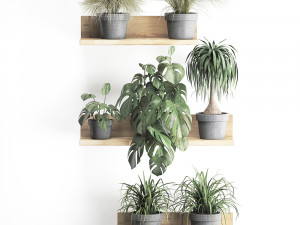 plant set wall decor vertical garden 48 Modelo 3D