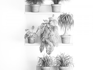 plant set wall decor vertical garden 48 Modelo 3D