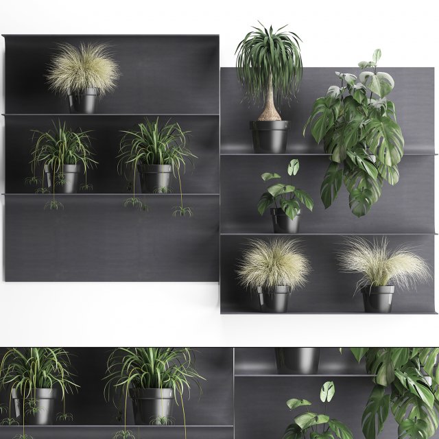 plant set wall decor vertical garden 49 3D Модель .c4d .max .obj .3ds .fbx .stl .blend 