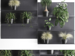 plant set wall decor vertical garden 49 3D Model