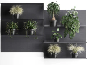 plant set wall decor vertical garden 49 3D Model