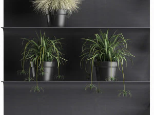 plant set wall decor vertical garden 49 3D Model