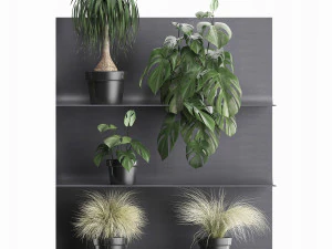plant set wall decor vertical garden 49 3D Model