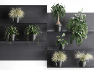 plant set wall decor vertical garden 49 3D Model