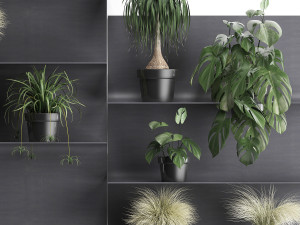 plant set wall decor vertical garden 49 3D Модель