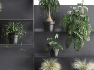 plant set wall decor vertical garden 49 3D Model