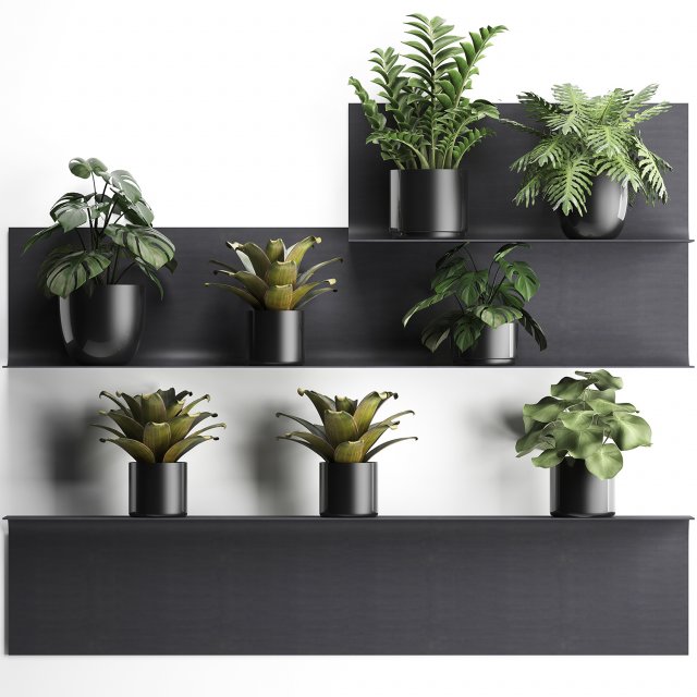 plant set wall decor vertical garden 50 Model 3D .c4d .max .obj .3ds .fbx .stl .blend 