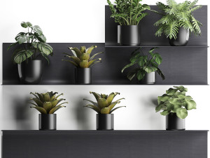 plant set wall decor vertical garden 50 Modèle 3D