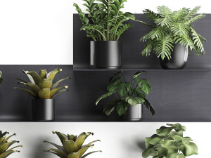 plant set wall decor vertical garden 50 Model 3D