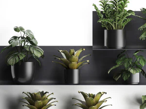 plant set wall decor vertical garden 50 3D Model