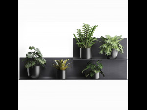 plant set wall decor vertical garden 50 Model 3D