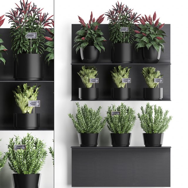 plant set wall decor vertical garden 51 Modèle 3D .c4d .max .obj .3ds .fbx .stl .blend 