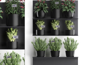 plant set wall decor vertical garden 51 Modèle 3D
