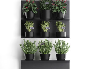 plant set wall decor vertical garden 51 Modèle 3D