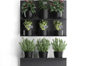 plant set wall decor vertical garden 51 3D Model