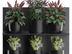 plant set wall decor vertical garden 51 Modèle 3D