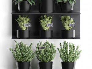 plant set wall decor vertical garden 51 3D Model