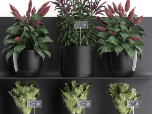 plant set wall decor vertical garden 51 Modèle 3D