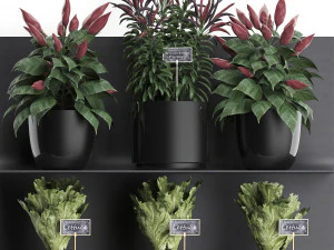 plant set wall decor vertical garden 51 3D Model