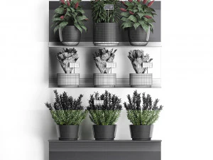 plant set wall decor vertical garden 51 3D Model