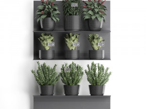 plant set wall decor vertical garden 51 Modèle 3D