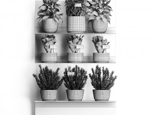 plant set wall decor vertical garden 51 Modèle 3D