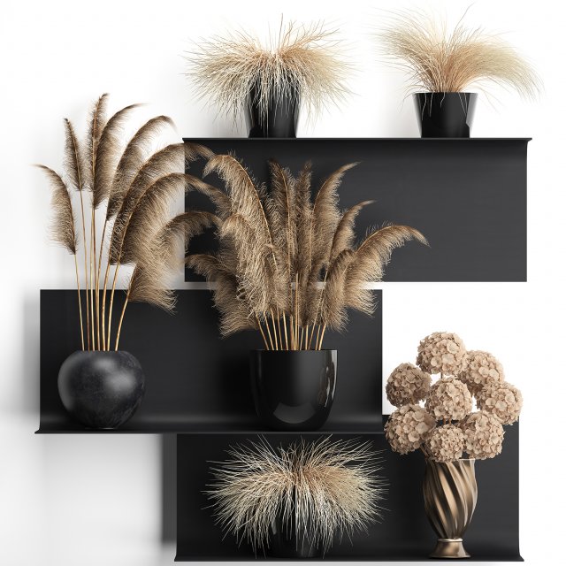 collection of dried flowers in vases 3D Model .c4d .max .obj .3ds .fbx .stl .blend 