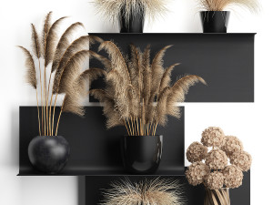 collection of dried flowers in vases 3D Model