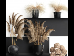 collection of dried flowers in vases 3D Model