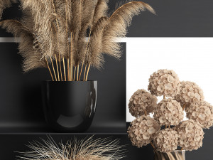 collection of dried flowers in vases 3D Model