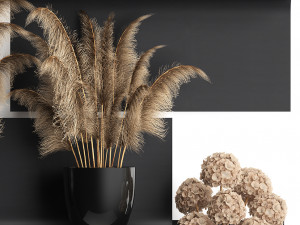 collection of dried flowers in vases 3D Model