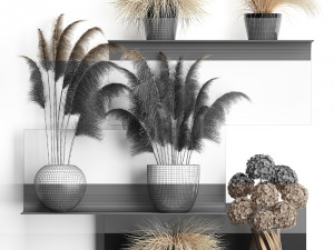 collection of dried flowers in vases 3D Model