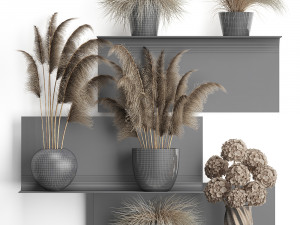 collection of dried flowers in vases 3D Model