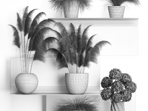 collection of dried flowers in vases 3D Model