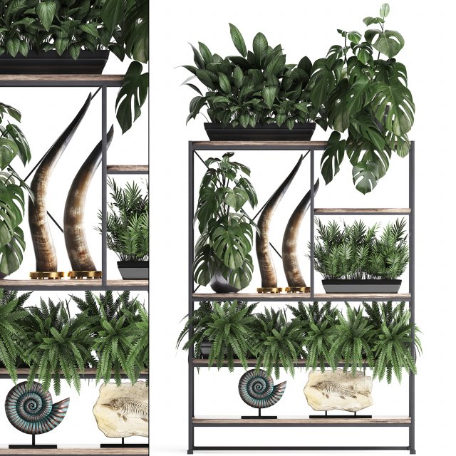 shelf rack with decor and plants Modelo 3D .c4d .max .obj .3ds .fbx .stl .blend 