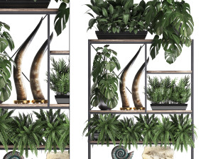 shelf rack with decor and plants 3D मॉडल