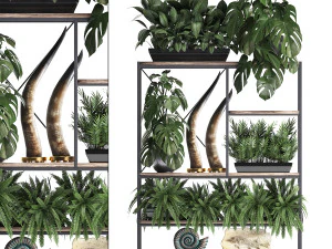 scaffale con decorazioni e piante Modello 3D