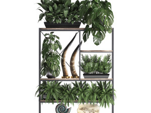 shelf rack with decor and plants Modelo 3D