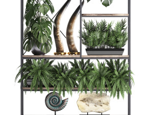 shelf rack with decor and plants Modelo 3D