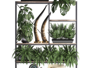 shelf rack with decor and plants Modelo 3D